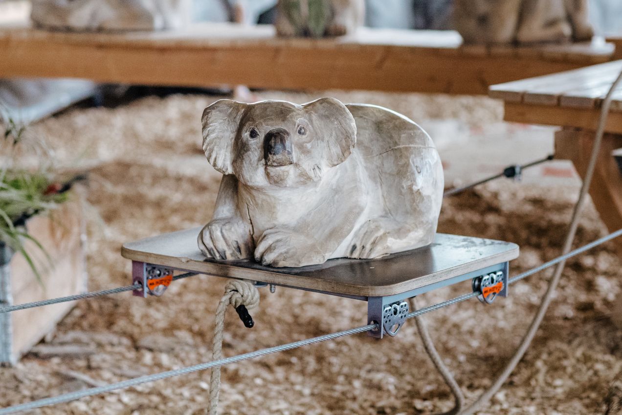 Koalaparcours
